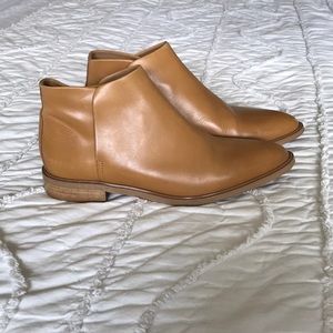 Everlane modern ankle boots
